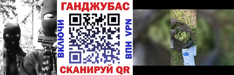 Конопля план  где продают   Бирск 